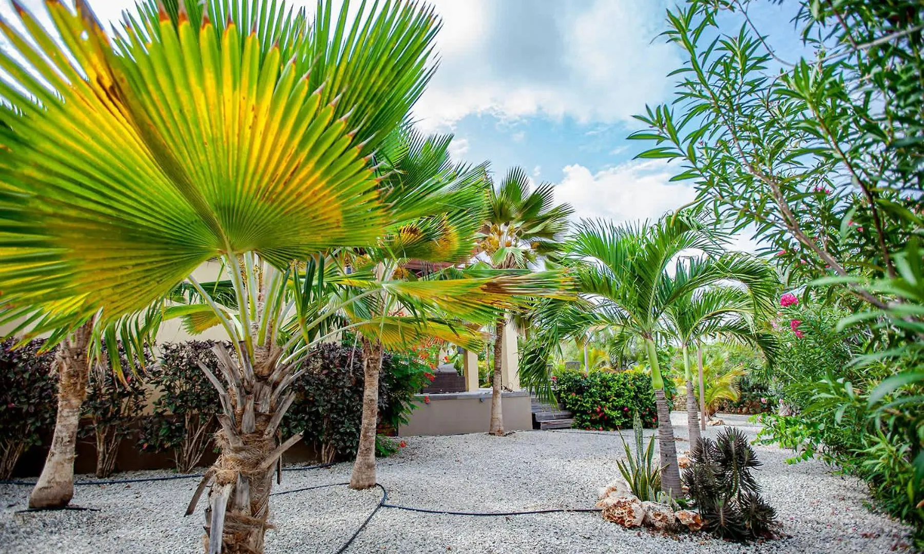 Villa Casa Presioso With Great View And Private Pool Kralendijk Karayip Hollandası