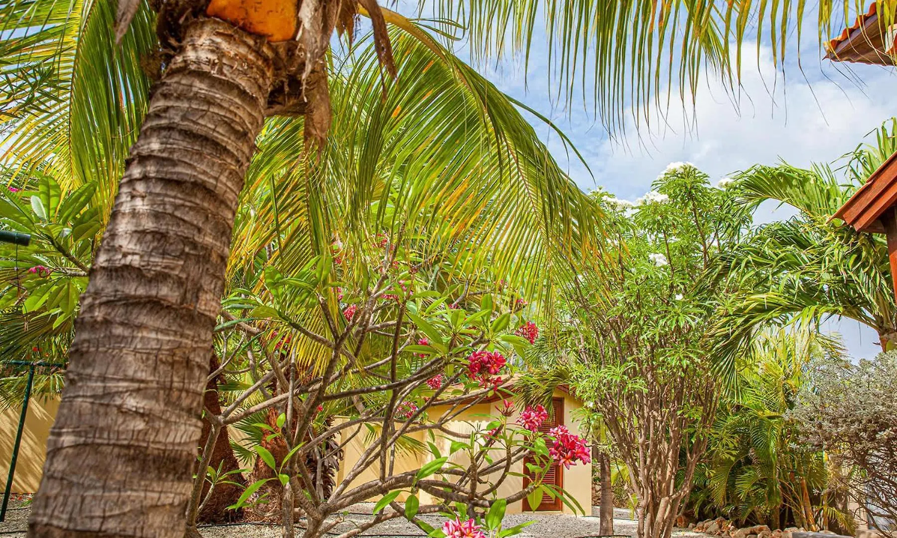 Villa Casa Presioso With Great View And Private Pool Kralendijk